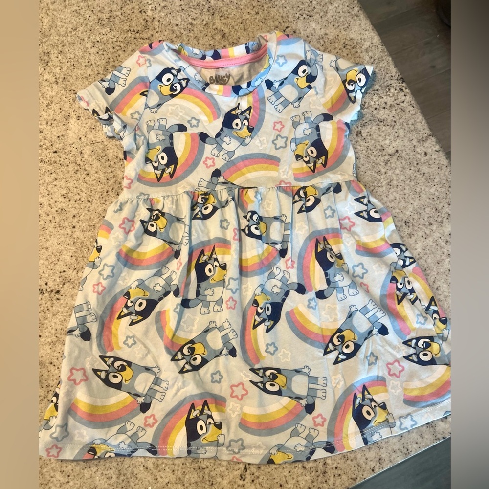 Bluey dress toddler girl 5T